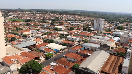 Zona leste tem menos da metade do número ideal de árvores