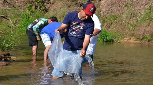 Grupo de pescadores vão soltar 15 mil peixes alevinos no Rio Feio