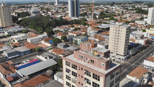 ARBORIZAÇÃO: Mais de 1.150 casas ainda não têm árvores plantadas na calçada