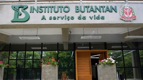 Butantan estuda a criação de uma vacina única contra a gripe e a COVID-19