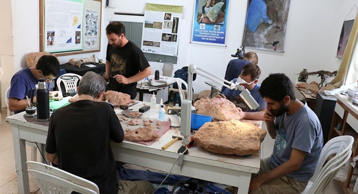 Equipe de pesquisadores preparando fósseis no Museu de Paleontologia de Marília, em 2019, quando chegaram descobertas de Presidente Prudente — Foto: Mariana Agostinho/Arquivo pessoal