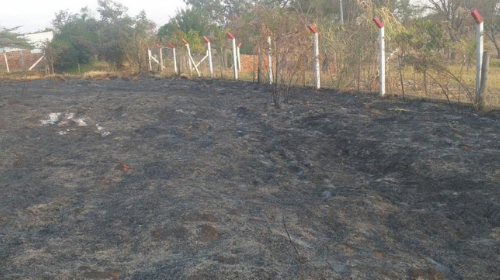 Bombeiros registram quase 40 incêndios nos últimos 10 dias