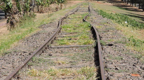 Tupã e região esperam reativação da ferrovia há quase cinco anos