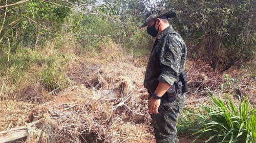 Polícia Ambiental de Tupã adverte dona de chácara por retirada de árvores nativas