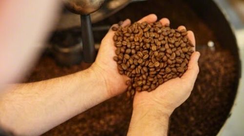 Conab divulga 3º levantamento da safra de café e estima produção de 46,9 milhões de sacas