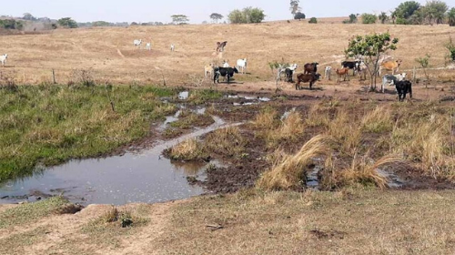 Polícia Ambiental aplica mais de R$ 51 mil em multas por degradação ambiental em Iacri