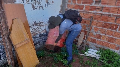 Munícipio bate recorde de visitas casa a casa no combate ao Aedes aegypti