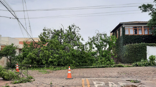 Temporal causa estragos em Paraguaçu Paulista