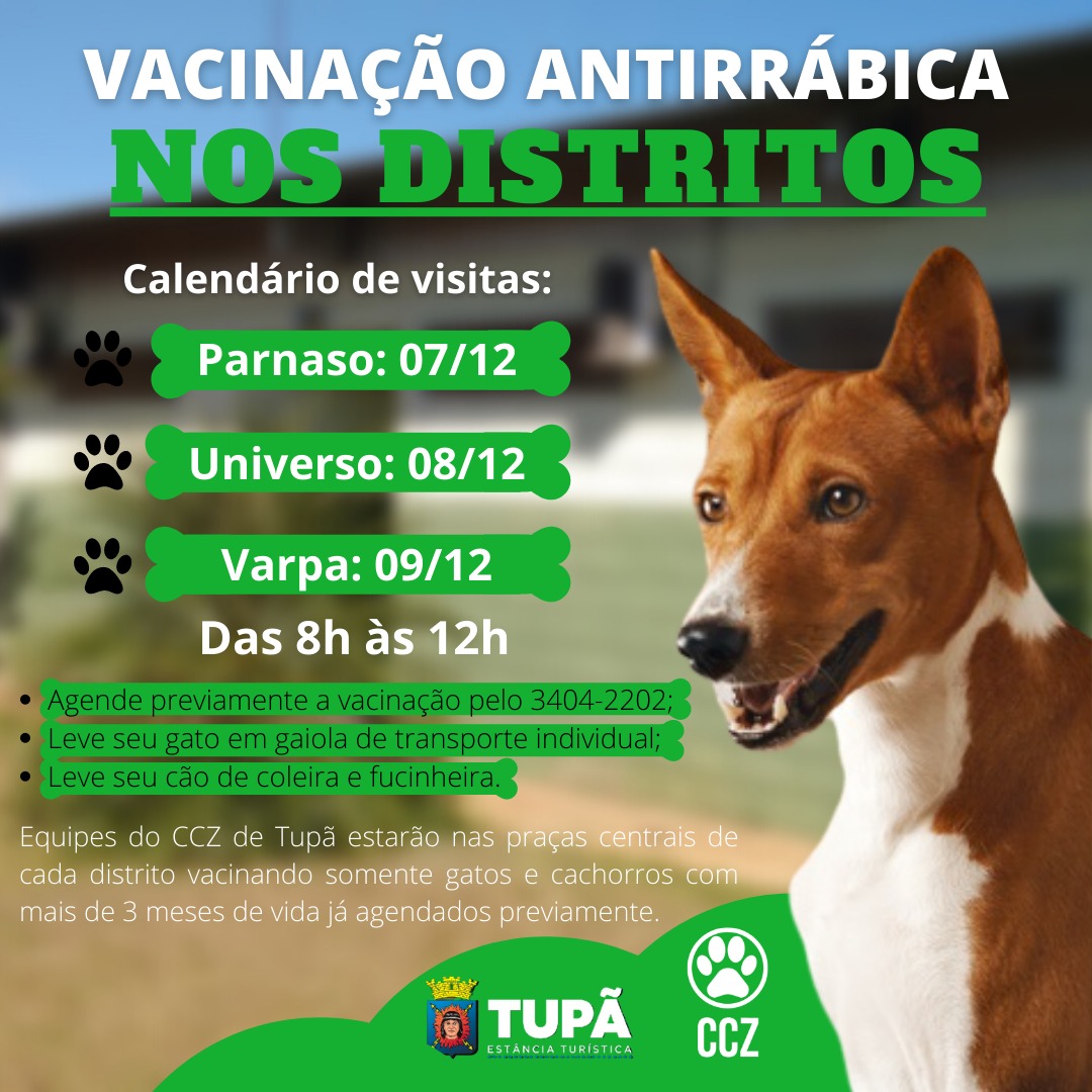 Vacinação antirrábica de cães e gatos começa nos distritos a partir desta terça-feira