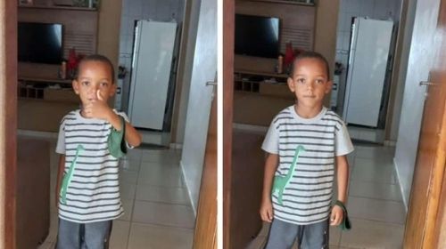 Menino de 5 anos morre após ser picado por escorpião na região