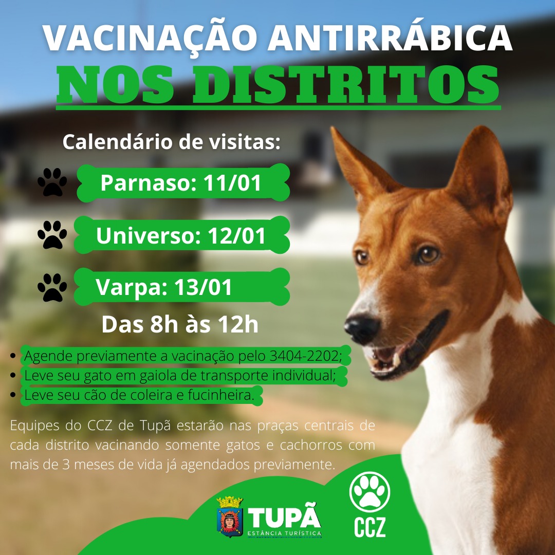 Vacinação antirrábica nos distritos ocorre a partir desta terça-feira