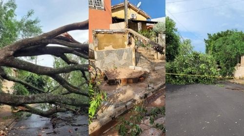 Temporal rápido na quarta-feira (23), causa estragos em Lucélia