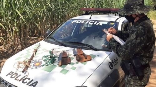 Polícia Ambiental de Tupã aplica multa em dois homens por caça de javalis