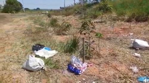 Trevo do aeroporto é alvo de descarte de lixo irregular