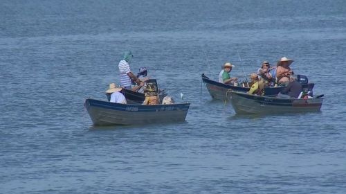 Piracema chega ao fim e pesca volta a ser liberada nos rios de SP