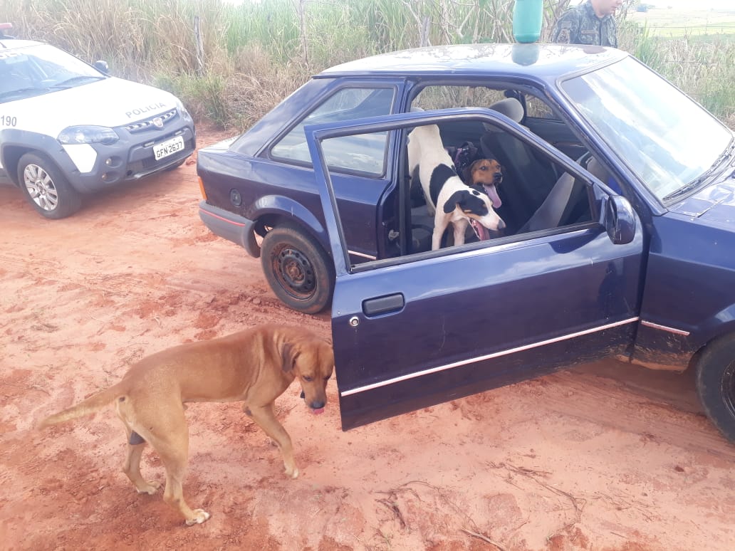 Polícia Ambiental de Tupã prende e aplica multa em homem que praticava caça ilegal na região/Foto: PM Ambiental