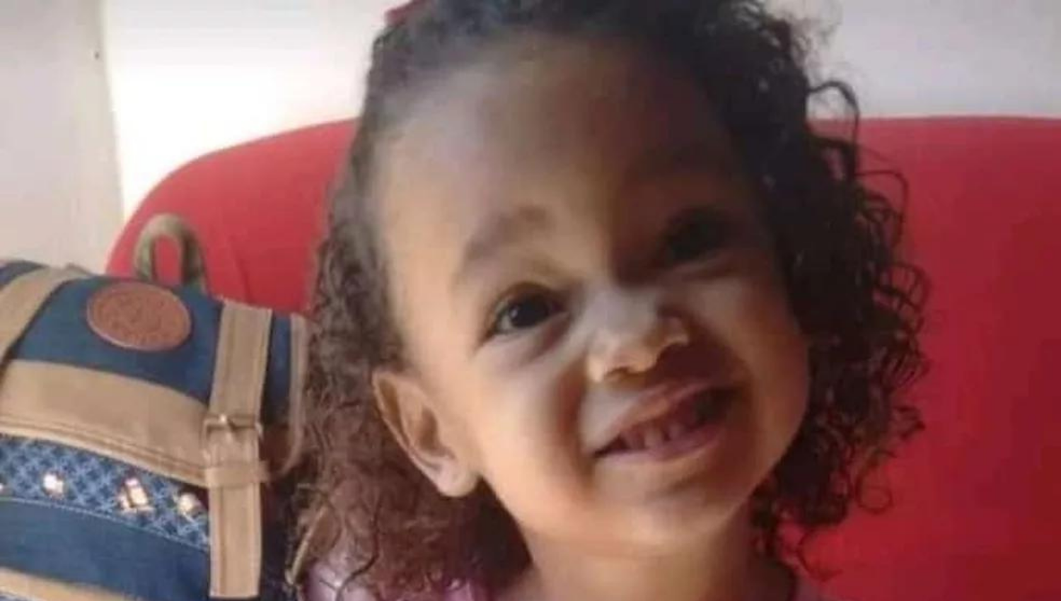 Menina de 4 anos morre após ser picada por escorpião em Luiziânia