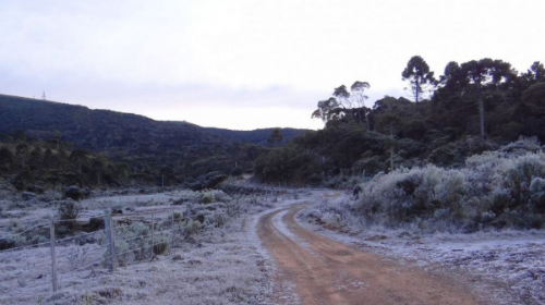 Paraná tem 34 cidades com alerta laranja para neve entre terça e quarta