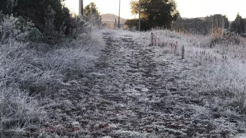 Com -5,37ºC, Urupema registra temperatura mais baixa do ano em SC