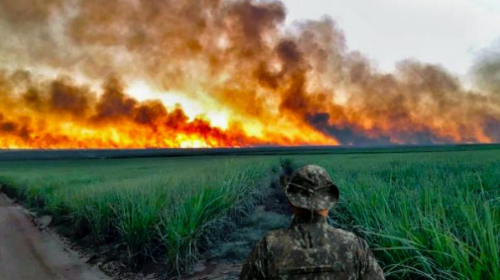 Polícia Ambiental realiza campanha para evitar incêndios em vegetação