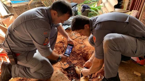 Filhote de cão fica preso em tubulação e é resgatado com ajuda microcâmera; veja o vídeo