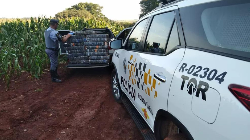 Homem é preso com mais de 300 tabletes de maconha em rodovia de Paraguaçu Paulista