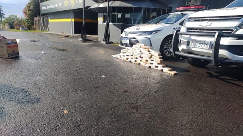 Adolescente é apreendido com 48 tabletes de maconha dentro de ônibus em rodovia de Garça