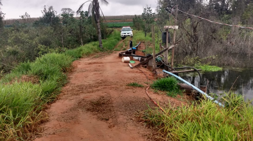 Sitiante é multado por destruir vegetação e impedir regeneração natural em Tupã