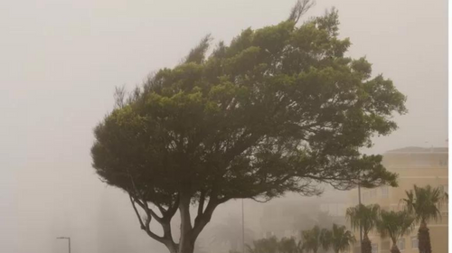 Ciclone extratropical: o que é o fenômeno que causa chuvas e ventania em parte do Brasil