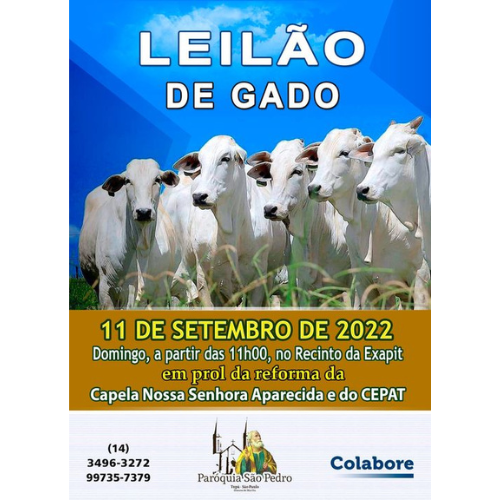 Paróquia São Pedro de Tupã realiza leilão de gado no dia 11 de setembro