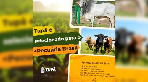 Tupã fará parte de programa inédito de inseminação artificial de rebanhos
