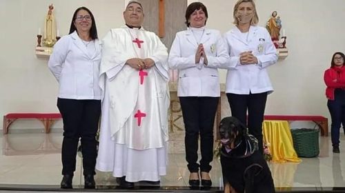 Cão acompanha padre em missas, casamentos e outras cerimônias religiosas em Palmital
