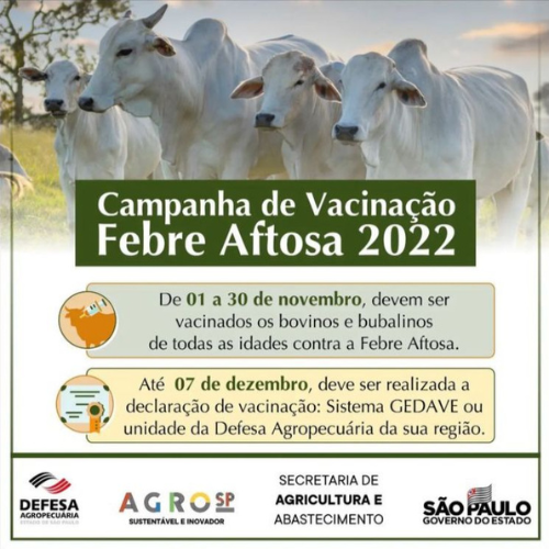 Campanha de vacinação da febre aftosa começa em Tupã