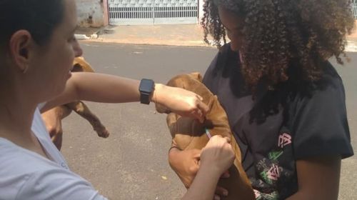 Queiroz realiza vacinação antirrábica itinerante para cães e gatos