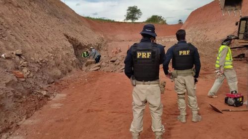 Fósseis de dinossauros encontrados por operários são retirados da BR-153 no interior de SP