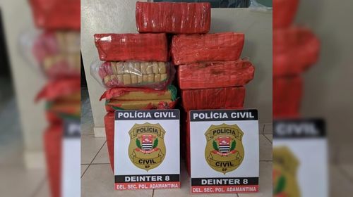 Polícia Civil descobre depósito de maconha em casa desabitada e apreende quase 250kg da droga em Osvaldo Cruz