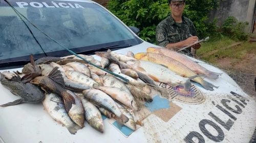 Pescadores são multados em R$ 6,2 mil por pesca predatória durante período de Piracema, em Lucélia