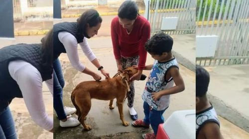 Queiroz segue com campanha de vacinação antirrábica itinerante