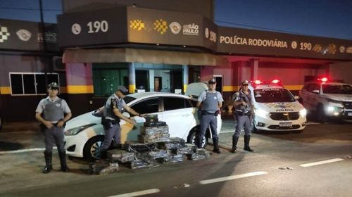 Polícia Rodoviária apreende cerca de 250 kg de maconha na SP- 294, em Tupã