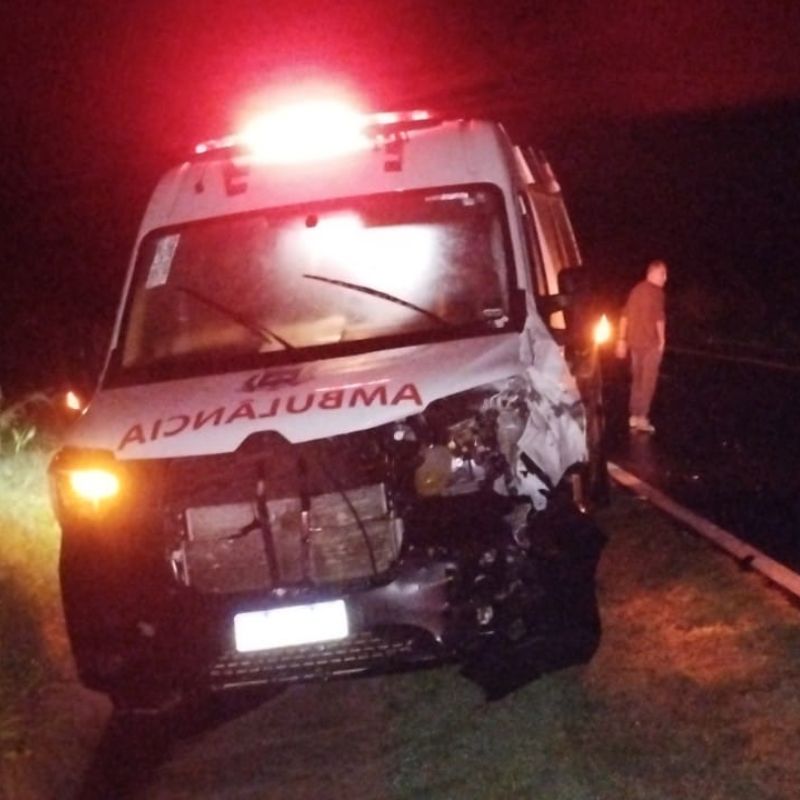Animal na pista: Ambulância de Rinópolis bate em boi durante transporte de paciente