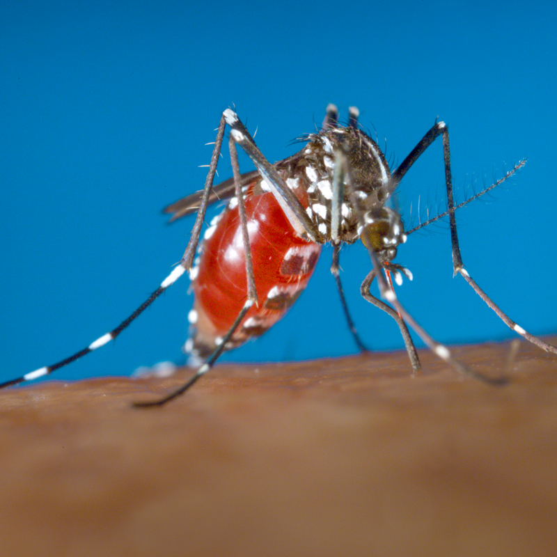 Adolpho Lutz confirma novo óbito por dengue em Tupã