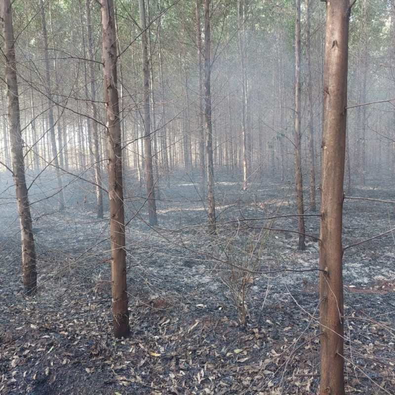 Incêndio de grandes proporções destrói área rural em Tupã