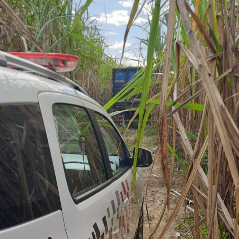 Caminhão furtado é encontrado pela Polícia Militar de Tupã em área de plantação de cana