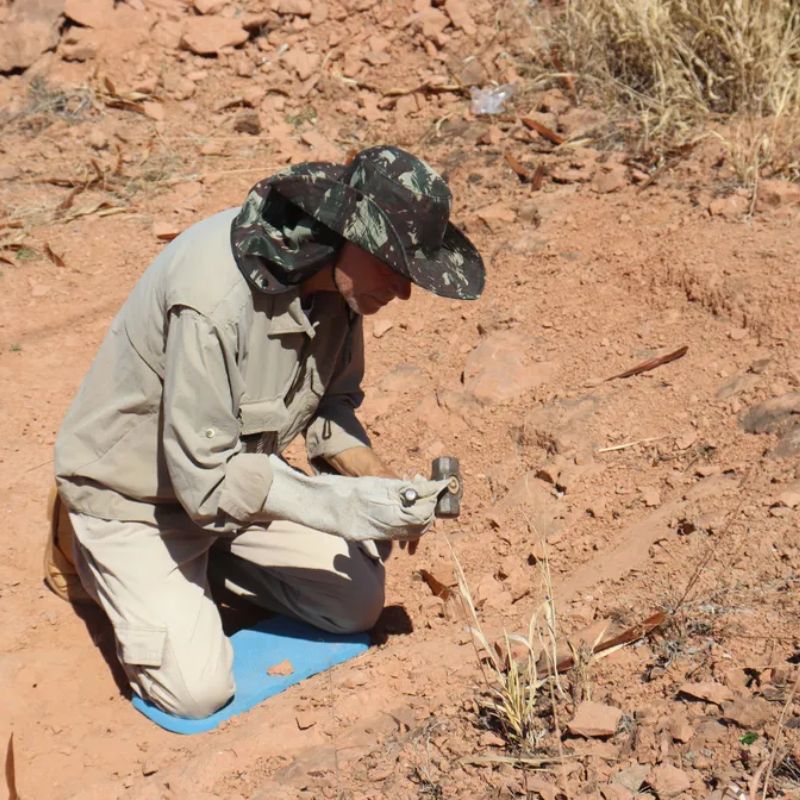 Novos fósseis de aves, crocodilos e dinossauros são encontrados em sítio paleontológico de Presidente Prudente