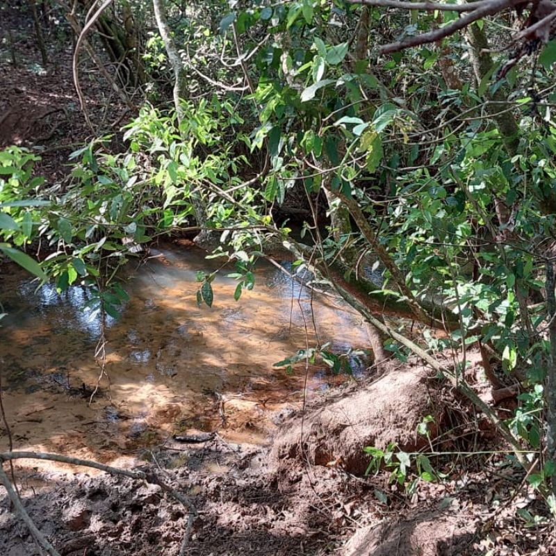 Proprietários rurais são multados por danificar vegetação nativa na região de Tupã