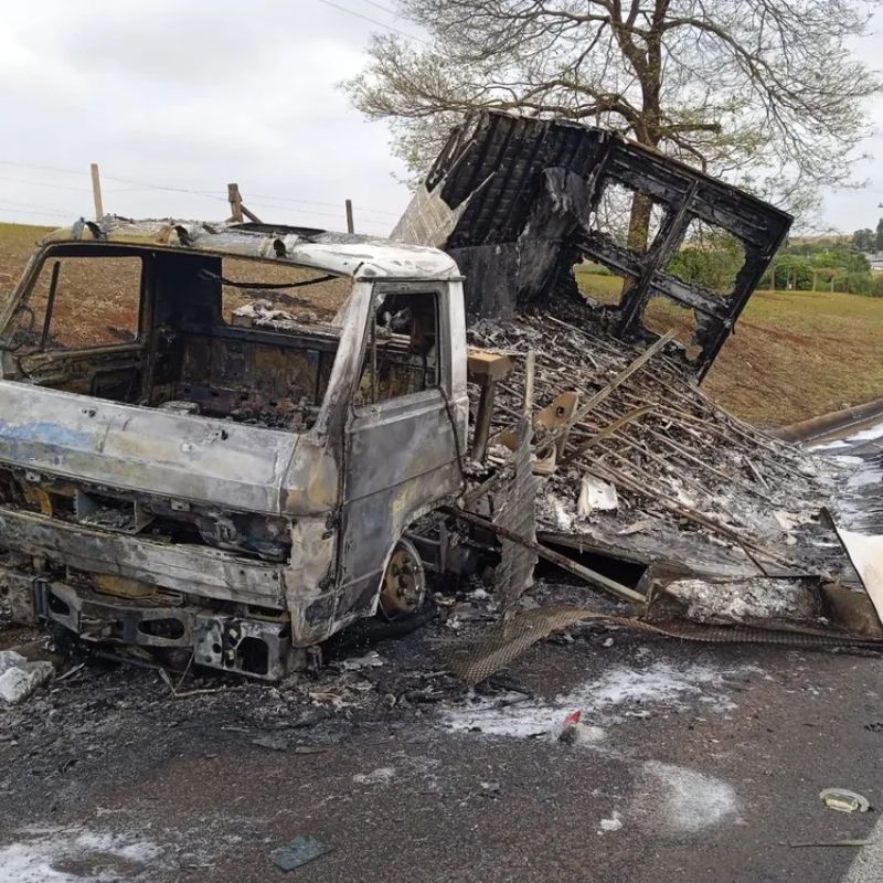 Caminhão pega fogo e 30 mil filhotes de codorna morrem carbonizados em rodovia no interior de SP