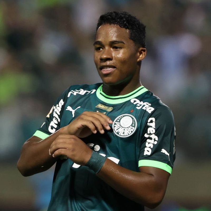 O Palmeiras é o novo líder do brasileirão