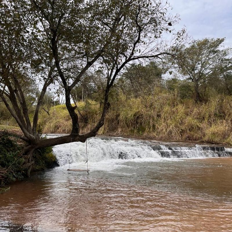 Fazenda Palma, em Varpa, completa 100 anos de fundação e recebe turistas de Tupã e região