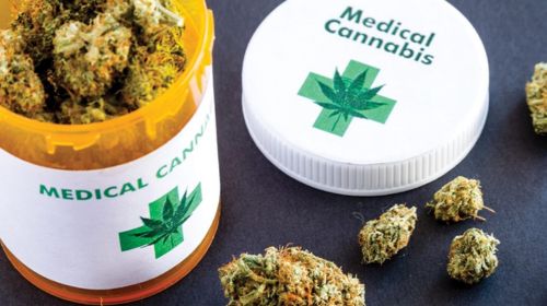 Governo de SP regulamenta lei que permite distribuição de remédios à base de cannabis no SUS