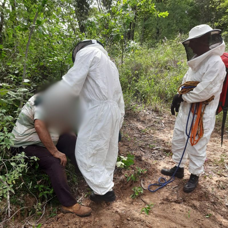 Corpo de Bombeiros resgata vítima de ataque de abelhas em Quintana
